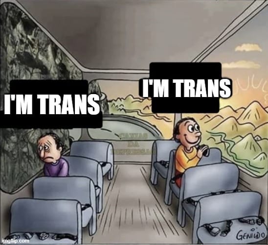 The image shows a split scene on a bus. On one side, a person is seated by a window looking out to a gloomy and rocky landscape, with a dark cloud overhead, labeled with "I'M TRANS". On the other side, another person is seated by a window looking out to a bright and colorful landscape, with the sun shining and the label "I'M TRANS" above their head as well. Both characters are sitting on the same bus, indicating they are on the same journey, but their perspectives differ significantly, influencing how they perceive their surroundings. The image is a metaphor for how different attitudes or mindsets can affect one's experience of the same situation.